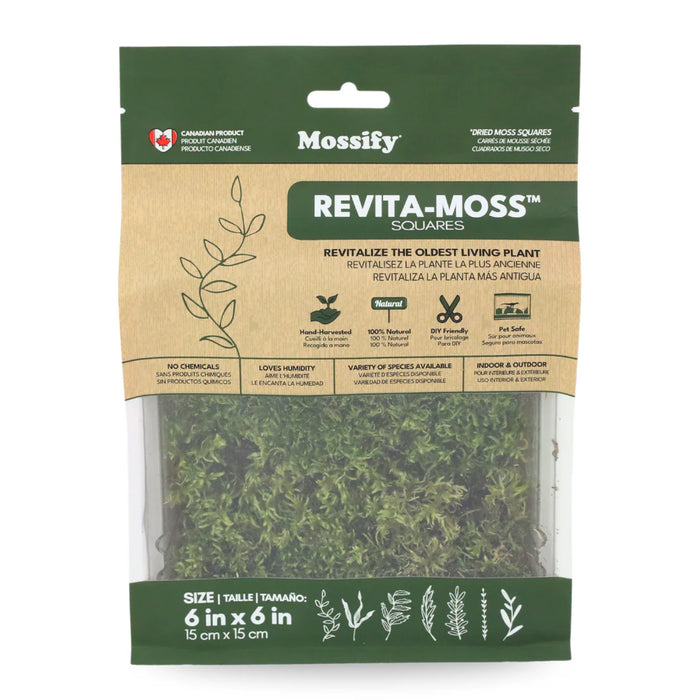 Canadian Forest Moss - Live Dormant Moss