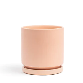 Blush Cylinder Pot with Water Tray
