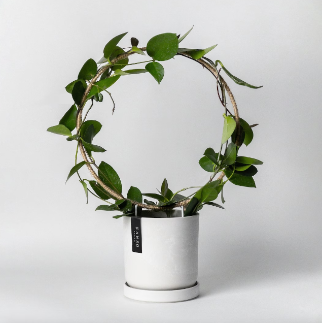 hoop plant trellis Hemp Hoop Trellis – VI Plant Shop