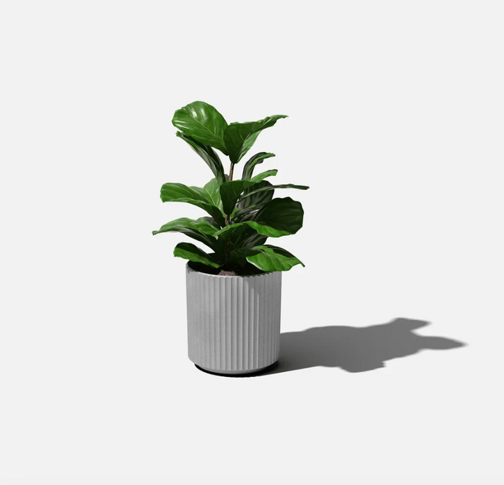 Dove Demi Planter