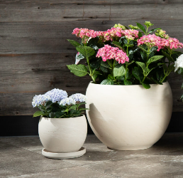 Marble Terracotta Sphere Planter