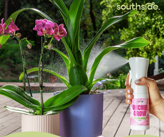 Orchid Grow and Bloom Fertilizer