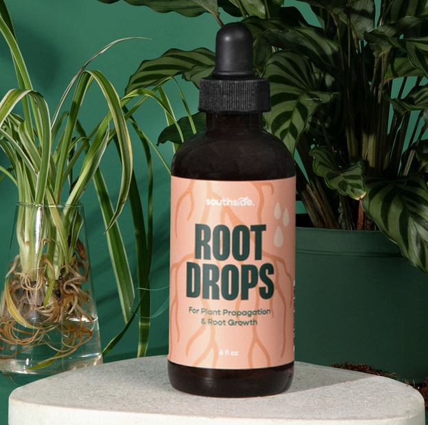 Root Drops for Propogations and Repotting
