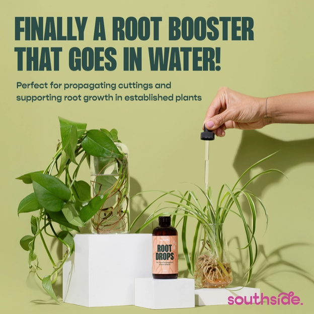 Root Drops for Propogations and Repotting
