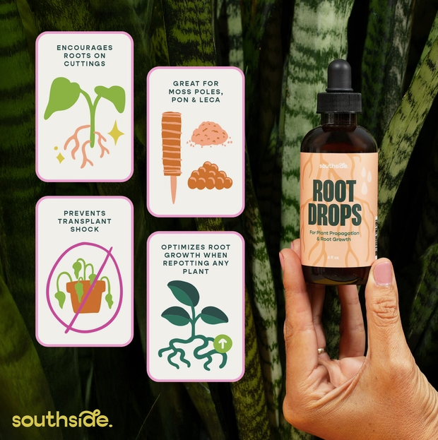 Root Drops for Propogations and Repotting
