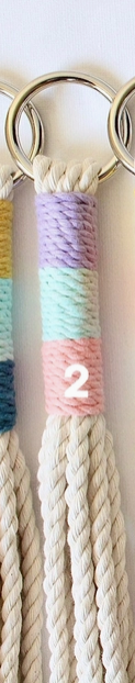 Color Block Macrame Plant Hanger