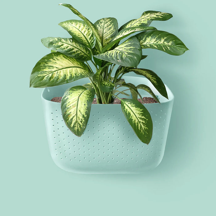 Sky Blue Eco Wall Planter