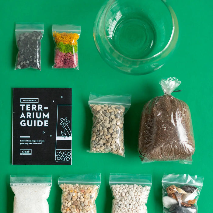 Terrarium Kit: Globe
