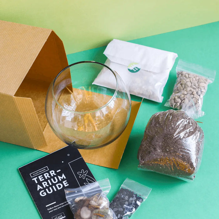 Terrarium Kit: Globe