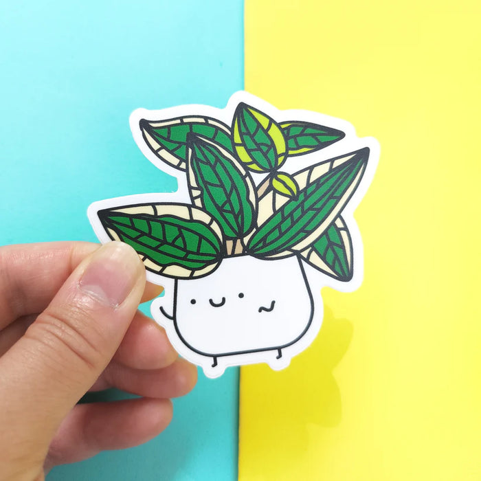 Hoya Macrophylla Vinyl Sticker