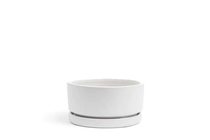 White Low Bowl with Water Tray