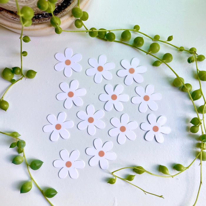 Mini White Daisy Stickers (Set of 10)