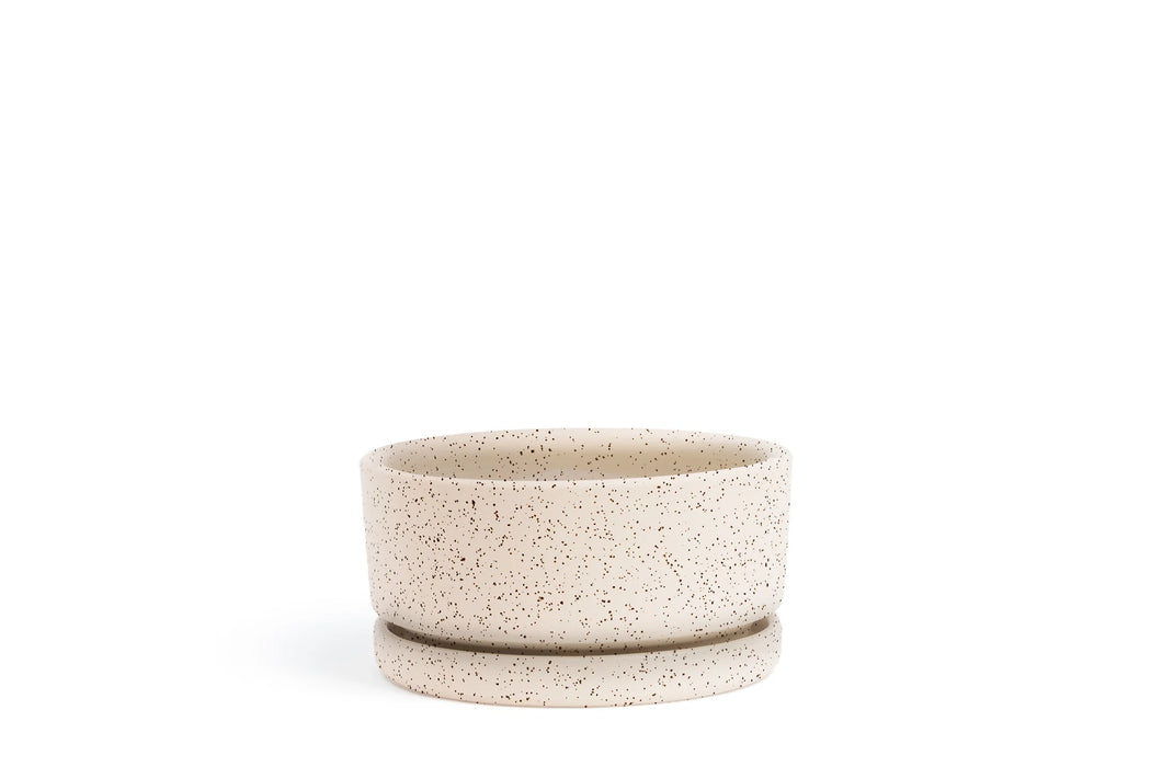 Sesame Low Bowl with Water Tray