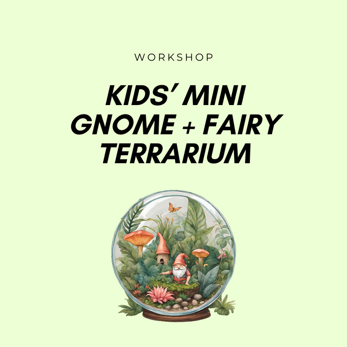 Kids’ Mini Gnome + Fairy Terrarium Workshop