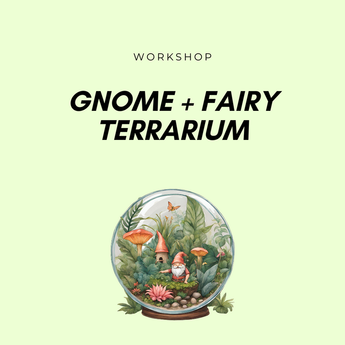 Gnome + Fairy Terrarium Workshop
