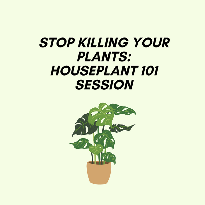 Houseplant 101 Workshop