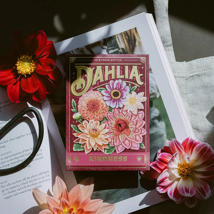 Dahlia (Kindness) - Floriography Seed Packet