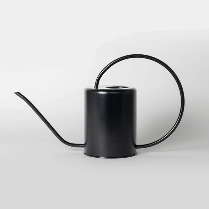 Black Stainless Steel Watering Can