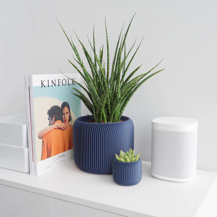 Midnight Blue Pine Planter