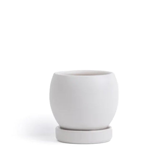 White Bollé Pot with Water Saucer