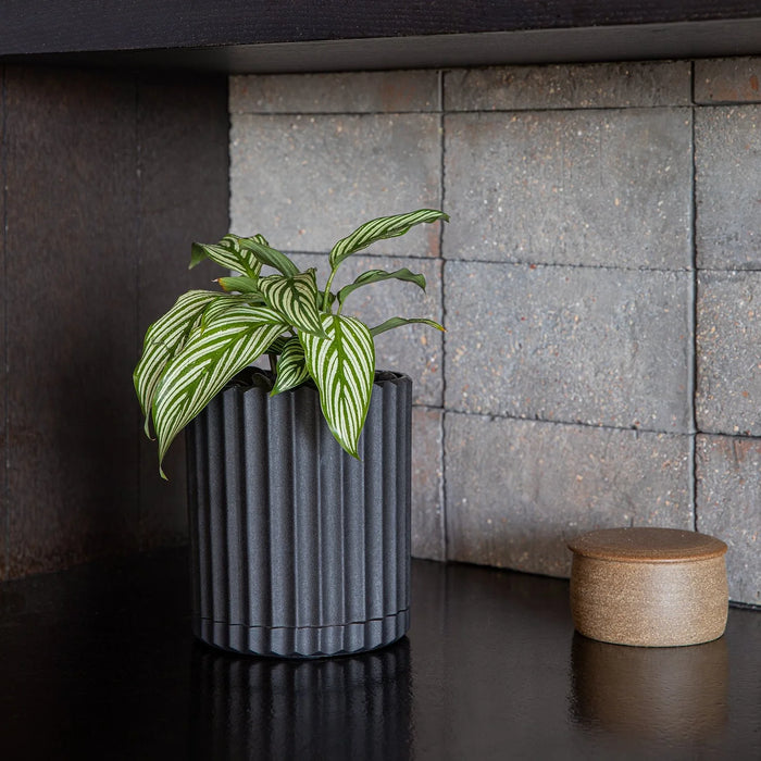 Black Demi 6'' Planter