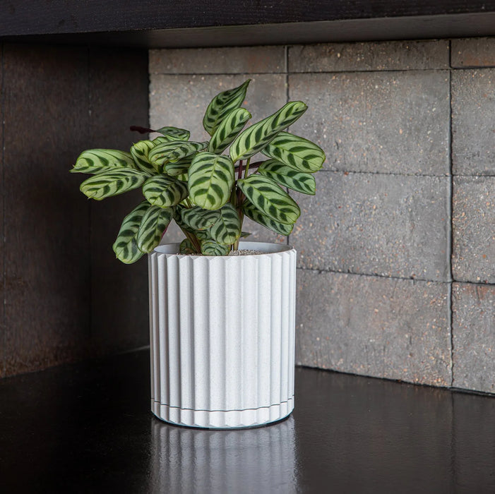 White Demi 6'' Planter
