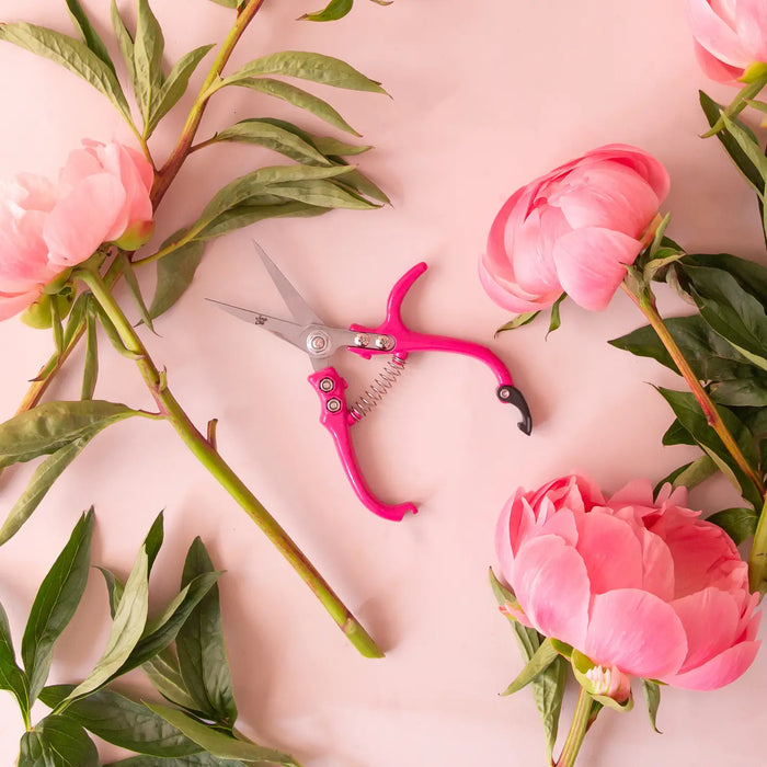 Hibiscus Pruning Shears