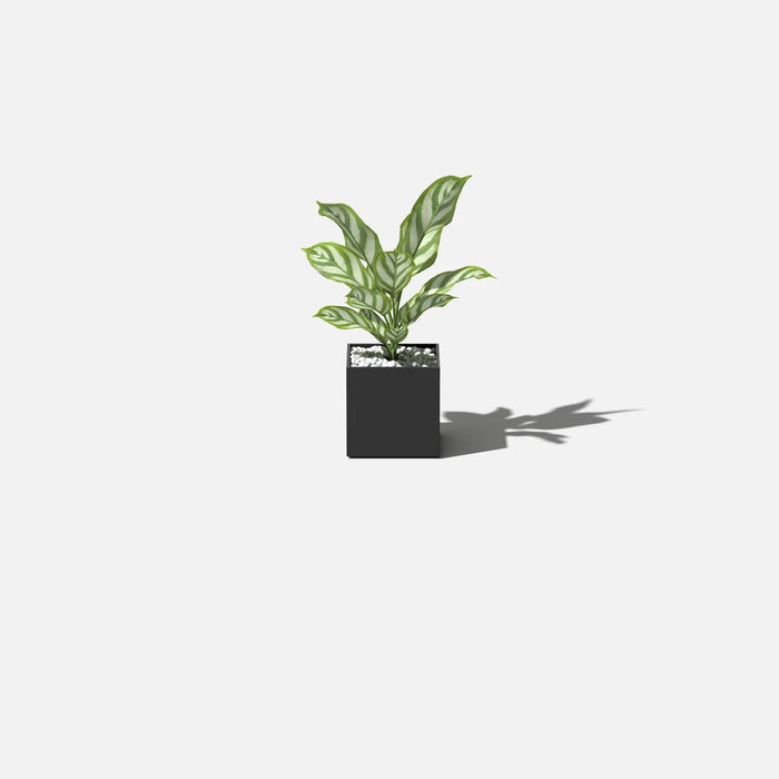 Black Geo Cube Planter