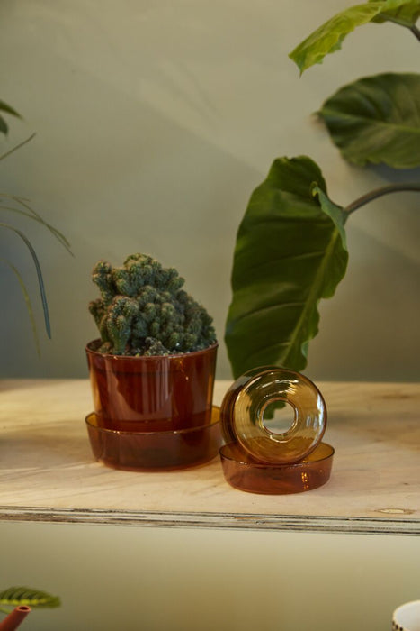 Amber Glass Planter and Saucer