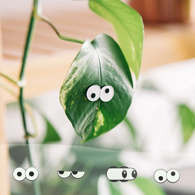 Glow Eyes Plant Magnet 4-Pack