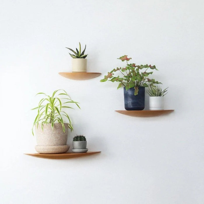 Wall Mounted Beech Floating Shelf
