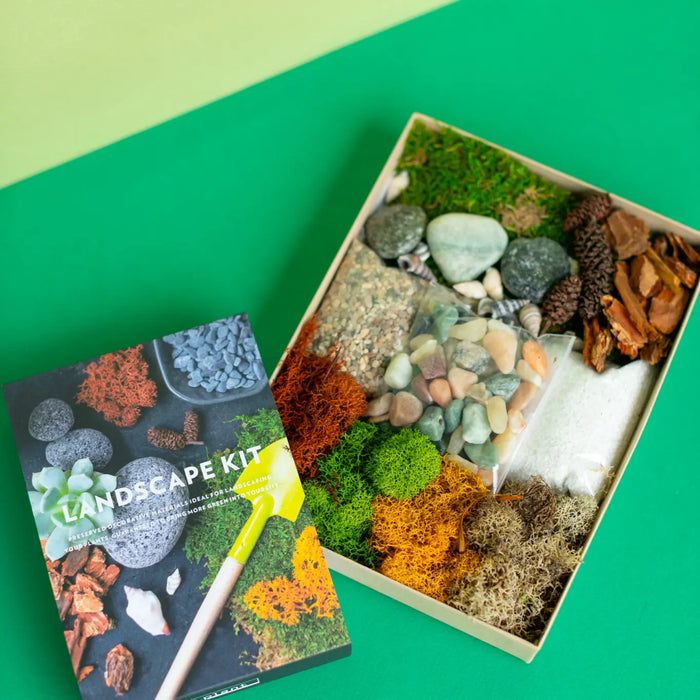Terrarium Landscape Kit