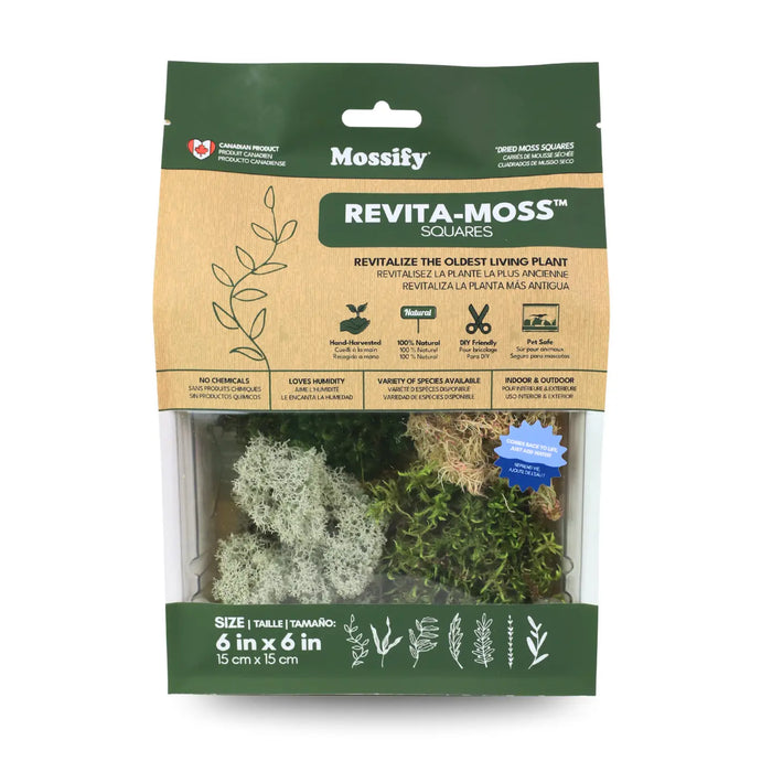 Moss Variety Pack - Live Dormant Moss
