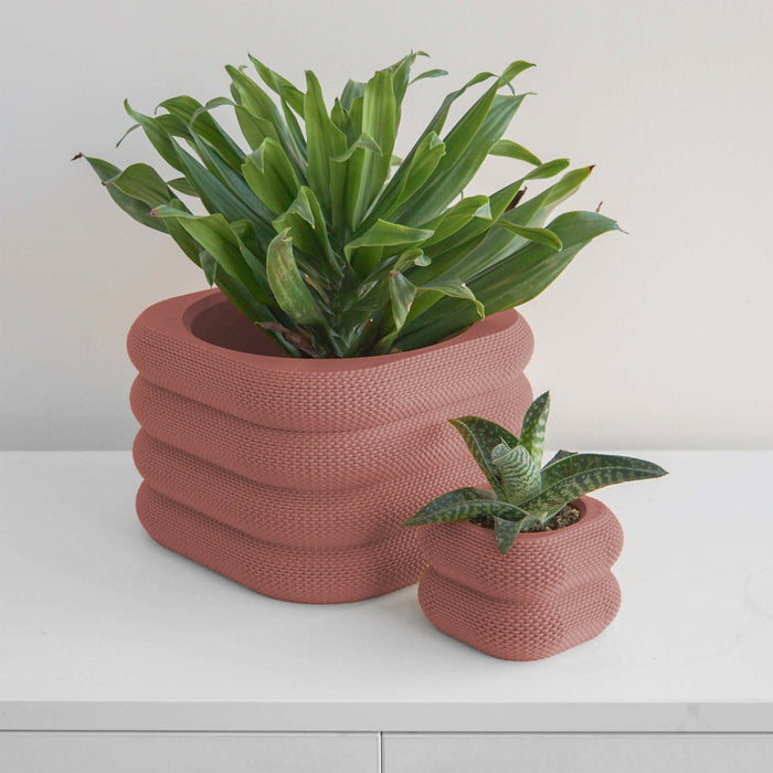 Salmon Yew Planter