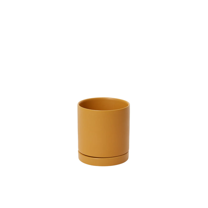 Mustard Romey Planter and Saucer