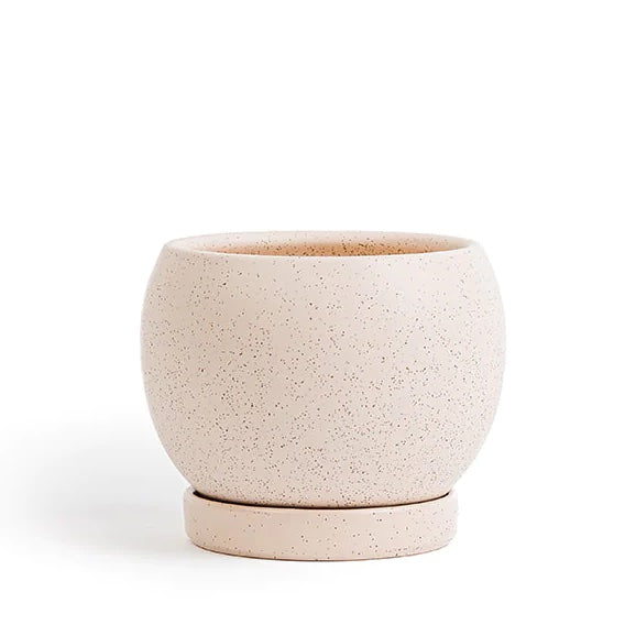 Sesame Bollé Pot with Water Saucer