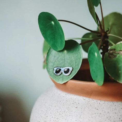 Warhol Sunglasses Plant Magnet