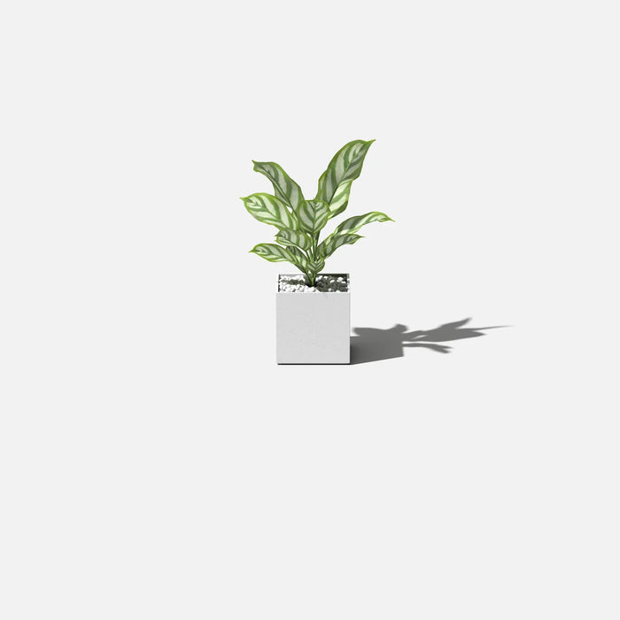 White Geo Cube Planter