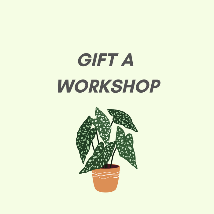 Gift a Workshop