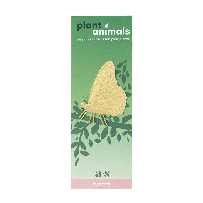 Butterfly Plant Animal