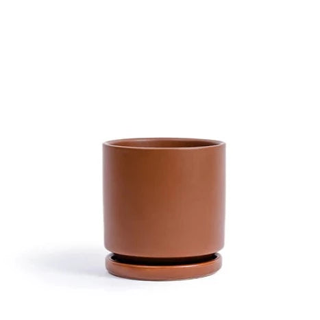 Chocolate Cylinder Pot with Water Tray