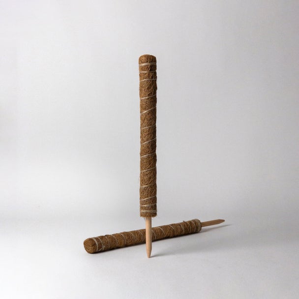 Small Coco Coir Support Pole