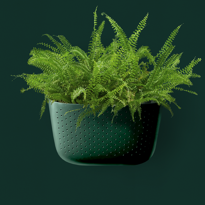 Forest Eco Wall Planter