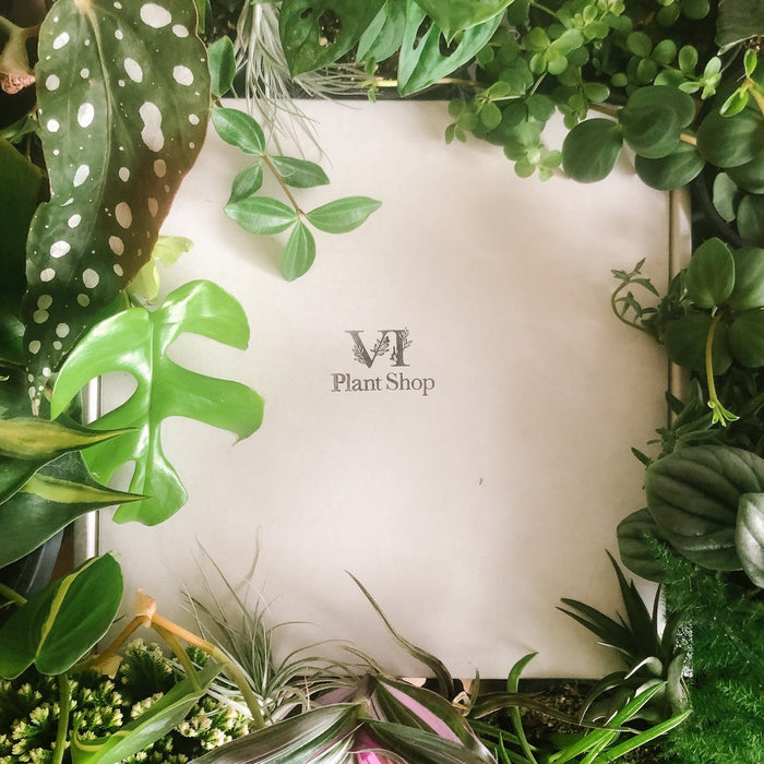 All Planters and Baskets