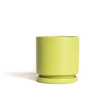 Lime Cylinder Pot with Water Tray