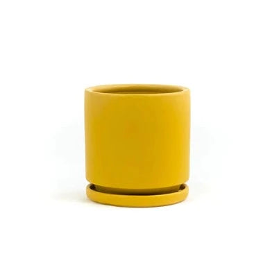 Ceramic Planters