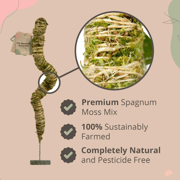 Bendable Moss Poll