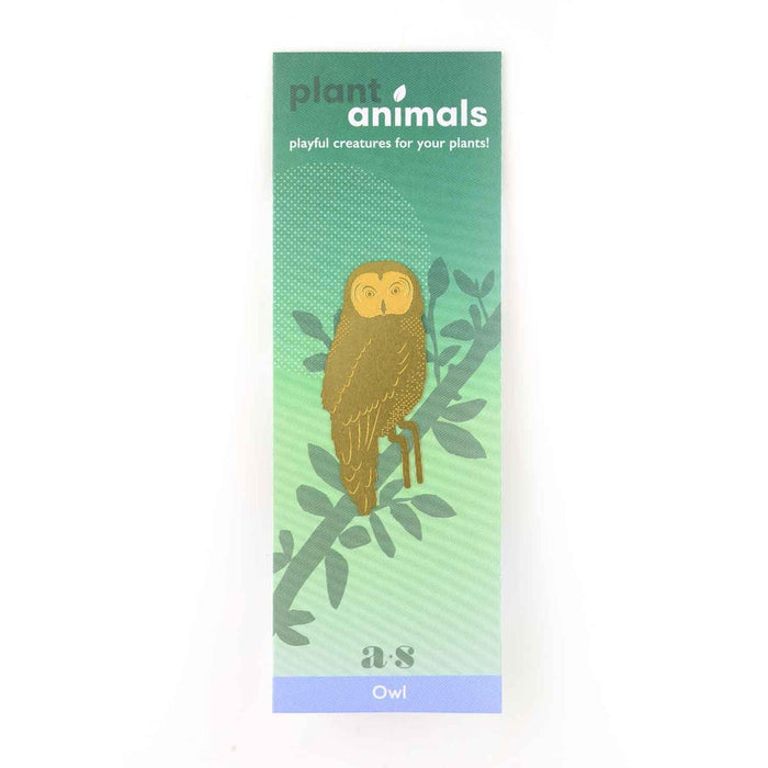 Owl Plant Animal