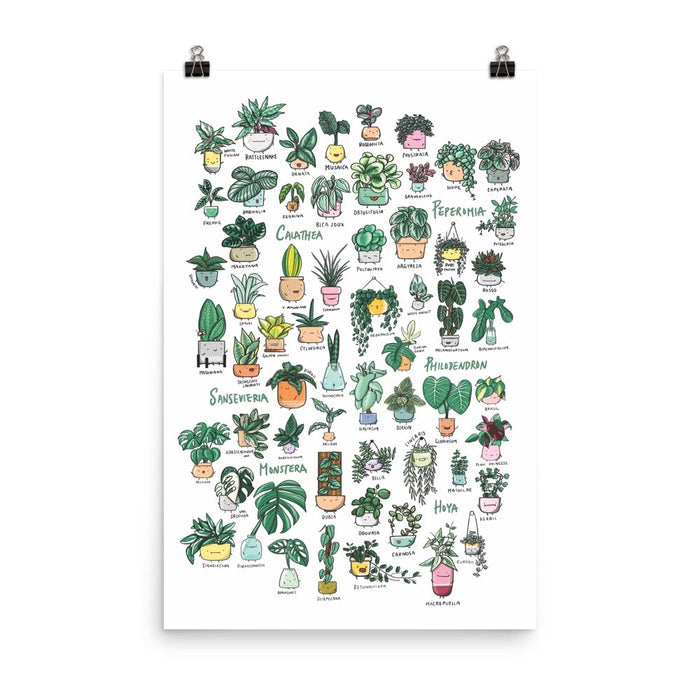 Plant Families vol.1 Poster