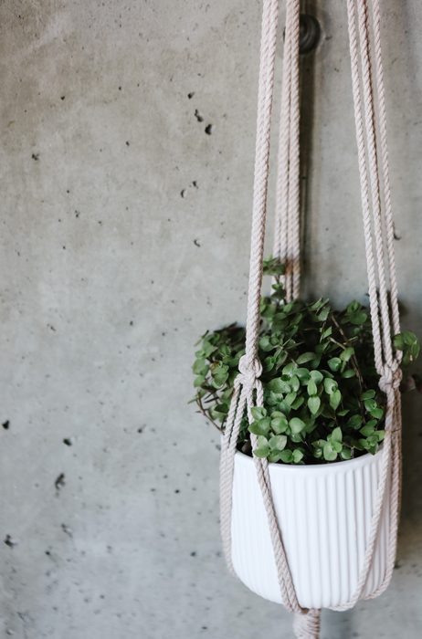 Jane Sand Macrame Plant Hanger